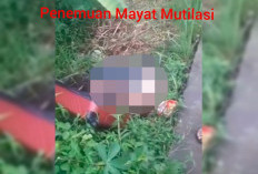 Kronologi Penemuan Mayat Mutilasi didalam Koper Merah Viral Tiktok, Kepala dan Kaki Masih Hilang