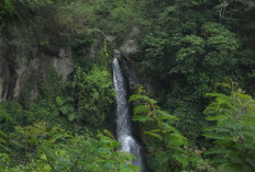 Bukan Surabaya atau Lamongan, Inilah Rekomendasi 3 Air Terjun Terbaik di Desa Wisata Gubugklakah Malang