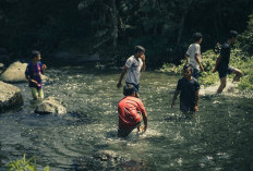 Sungai Terpanjang di Kalimantan Barat Ada Dimana? Simak Sungai Terpanjang di Indonesia Beserta Julukannya