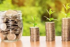 Info KUR Mandiri 2023: Bunga, Jenis Kredit, Persyaratan dan Cara Pengajuan Pinjaman hingga Cairkan Rp500 Juta Rupiah
