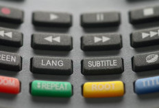 Temukan Subtitle Bahasamu! Deretan Situs Gratis untuk Mengunduh Subtitle
