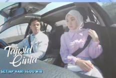 Update Sinopsis Tajwid Cinta Besok Minggu, 18 Desember 2022 di SCTV: Oki dan Syifa Mesra Satu Mobil Timbulkan Bibit Cemburu di Hati Dafri 