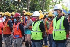 Info Loker Lowongan Kerja PT Freeport Indoesia Terbaru Bulan Maret 2023, Total ibutuhkan 28 Jurusan, Fresh Graduate Bisa Apply, Jangan Sampai Ketinggalan