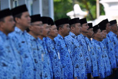 Golongan Honorer Se Indonesia Dapat Kabar Baik! 4 Golongan Honorer Ini Dijamin Pemerintah Auto Naik Gaji?  