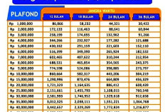 Daftar Nama Pemilik KTP yang Dapat Rp 50 Juta KUR BRI 2023 Tanpa Jaminan, Cek Syarat Ajukan Pinjaman hingga Tabel Angsuran TANPA JAMINAN!