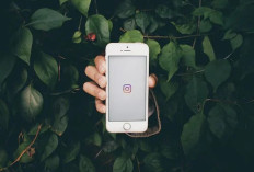 Cara Praktis Download Story Instagram Tanpa Harus Install Aplikasi Tambahan!