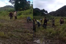 Perhutani Ranca Upas Ciwidey Kena Sentil dan Seprot Petani Edelweiss, Sebut Hanya Peduli Bisnis Tidak Peduli Lingkungan, Imbas Izin Acara Motor Trail Rusak Perkebunan