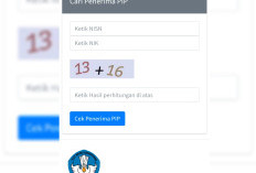 Cair Bantuan PIP Kemendikbud 2023 Bansos Anak SD hingga SMP SMA, Bagaimana Cara Cek Penerima PIP Lewat pip.kemendikbud.go.id?