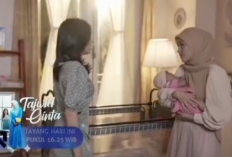 Alina Minta Syifa jadi Ibu Aya, Sinopsis Tajwid Cinta Episode 55 Hari ini 17 April 2023 Dan Link Nonton