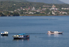 Baru Tahu? Ternyata Wakatobi Berasal Dari Singkatan, CEK Kepanjangan Daerah Wakatobi Sulteng Sulawesi Tenggara, Miliki Keindahan Dunia Bawah Laut Diakui Dunia