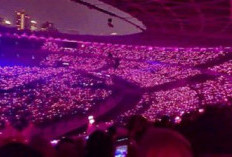 BLINK Wajib Waspada! Marak Calo Tiket Konser Blackpink di GBK Jakarta Jual Harga Tiket Murah
