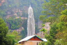 Berasa Di Surga, 5 Wisata Air Terjun di Jombang Jawa Timur Sejuk dan Menyegarkan Gak Kalah dengan Niagara