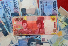 Daftar Angsuran Kredit Usaha Rakyat KUR BRI 2023 Bunga Rendah, Cek Syarat Pengajuan Pinjaman Bunga Rendah di Bank BRI