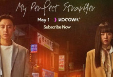 Nonton Drakor My Perfect Stranger Episode 1 SUB Indo Senin, 1 Mei 2023, Simak Link Legal Nonton Hanya di VIU dan KOCOWA