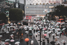 Apa Arti KY di Jepang? Simak Arti KY dalam Bahasa Gaul Jepang Viral Ternyata Ini Menurut Orang Jepang