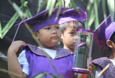Punya Pendidikan Terbaik? 20 SD Favorit di Bogor Jabar, Jadi Sekolah Unggulan dengan Sarana Prasarana Paling Eksklusif hingga Guru Kompeten