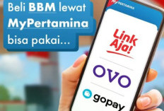 Simak Cara Daftar MyPertamina, Isi Pertalite dan Solar Pakai Kode QR MyPertamina - Mudah Bisa Online dan Offline