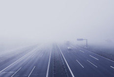 Jaring Warna Hijau Menyelimuti Tebing yang Mengelilingi Jalan Tol Unik di Sumatera Utara, Sayang Banget Ada Cerita Mistis Dibaliknya