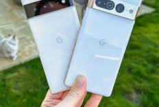 HP TERBARU! Berikut Spesifikasi Lengkap Beserta Harga Google Pixel 7 Pro di Indonesia, Harganya Bikin Takjub