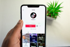 Download Video Tiktok Tanpa Watermark GRATIS Tanpa Download Aplikasi Tambahan Lagi, Salin Tempel!