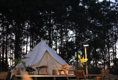 Shanaya Hotel and Resort Bak Negeri Dongengnya Jawa Timur Nih! Guest house Sediakan Glamping Mewah!