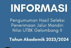 SIMAK Link Pengumuman Mandiri UB 2023 Gelombang 2 Jalur Rapor, Cek di Laman pengumuman.ub.ac.id