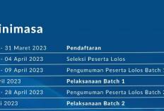 TIMELINE ASEAN Data Science Explorers Enablement Session 2023, Simak Kapan Jadwal Pengumuman Batch 1 dan 2?
