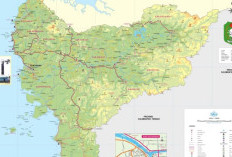 7 Kabupaten Kota di Kalimantan Barat yang Terkenal Paling Miskin, Ada Daerah Anda? Simak Penjelasannya Disini Menurut BPS