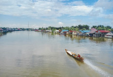 Berdesakan Gak Nih? Inilah 5 Daerah Terkecil di Kalimantan Timur, Nomor 1 dan 2 Daerah Mana nih? Dijuluki Kota Taman Ada yang Tahu?