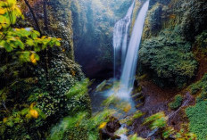 MENGEJUTKAN Daerah Termiskin di Sumatera Barat Sulbar Miliki Total 7 Kabupaten dan Kota, Ada yang  Dijuluki Surganya Air Terjun dan Wisata!