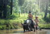 Ternyata ini Kepanjangan Solok! Tak Hanya Terkenal Kota Beras saja, Ternyata Miliki Sejarah Panjang di Sumatera Barat