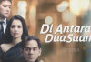 Kapan Tayang Sinetron Di Antara Dua Suami? Beikut Sinopsis dan jadwal tayang Dibintangi Anggika Bolsterli yang Diperebutkan Dua Laki-Laki