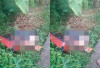 Identitas Mr X Mayat Mutilasi dalam Koper di Bogor, Masih Jadi Misteri Dimana Kepala dan Kaki yang Hilang?