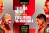 Jadwal UFC 283 Teixeira vs Hill, Jam Berapa Tayang Live Mola TV Minggu 22 Jan 2023?